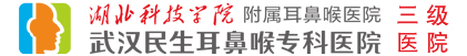 湖北省市临床重点专科-湖北科技学院附属耳鼻喉医院-武汉民生耳鼻喉专科医院